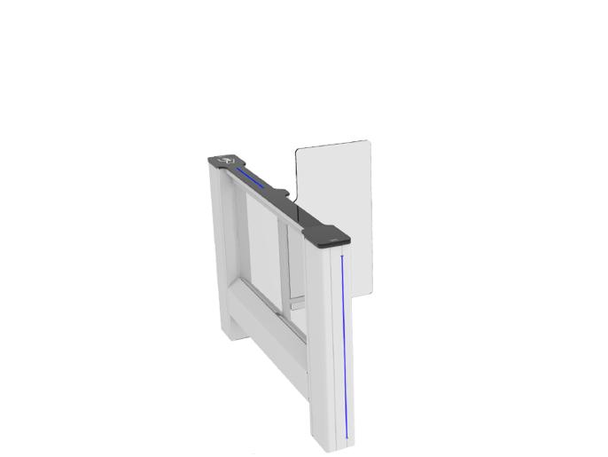 SWING GATE SWG90 CAME
